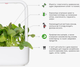 Змінний картридж Click&Grow Бок-чой 3 шт (9131) - зображення 6