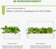 Змінний картридж Click&Grow Бок-чой 3 шт (9131) - зображення 8