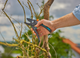 Секатор Gardena PremiumCut Pro Dry Wood з ковадлом 24 мм (аналог 08903-20.000.00) (12250-20.000.00) - зображення 9