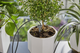 Набір Gardena Holiday Watering для поливу в вихідні дні (13366-20.000.00) - зображення 8