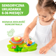 Іграшка розвиваюча Chicco Sensory Flower (10156.00) - зображення 3
