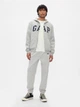 Спортивный костюм мужской утепленный GAP 221344810 2XL Серый (1159844201) - изображение 1