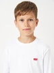 Подростковая футболка с длинными рукавами для мальчика Levi's Lvb L/S Batwing Chesthit Tee 9EC706-001 140-146 см (3665115291803) - изображение 4