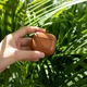 Чохол Native Union Leather Case Tan для Airpods 3rd Gen - зображення 2