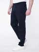 Штани спортивні чоловічі TOMMY HILFIGER classic logo TH-10006NV L - зображення 1