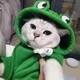 Толстовка для собак и кошек "Frog" Size M - изображение 6