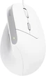 Мышь Trust 25397_TRUST Bayo 2 Ergonomic, USB-A, біла - изображение 1