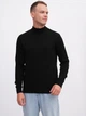 Гольф-водолазка мужская EQUILIBRI M342 004 000-3 S Black (2299965884451) - изображение 1