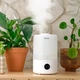 Увлажнитель воздуха Levoit Smart Humidifier Dual 200S - изображение 9