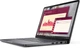Ноутбук Dell Pro 14 PC14250 (bts017_pc14250_usx) Magnetite - зображення 3