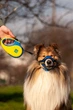 Поводок-рулетка для собак WAUDOG R-leash, рисунок "Colors of freedom", светоотражающая лента, размер S, до 15 кг, 5 м (381-4020) - изображение 14