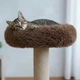 Когтеточка стойка с мягкой лежанкой для котов кошек 65х50х48см коричневая - изображение 4