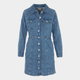 Плаття-сорочка коротке літнє жіноче Levi's Flynn Western Core Dress A7592-0001 XS Ringi (5401128681273) - зображення 7