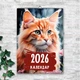 Календарь А4 перекидной настенный КОТЫ 13 листов (art. 250110a4) - изображение 9