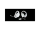 Навушники з мікрофоном Razer Barracuda X 2022 Mercury (RZ04-04430200-R3M1) - изображение 6