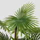 Штучна рослина Homla Tropical Zone пальма 100 cм (5906496740602) - зображення 3