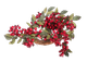 Вінок Homla Ruby Hawthorn червоний Ø 40 см (5906496708978) - зображення 1