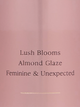 Мист для тела Velvet Petals Victoria's Secret 250 мл - изображение 2