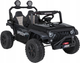 Електричний позашляховик для дітей Passion 4 x 4 Чорний (5903864986914) - зображення 1