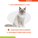 Витамины и добавки Dolfos Multivital Cat – витаминно-минеральная добавка для кошек 90 табл (190-90) - изображение 2