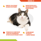 Витамины и добавки Dolfos ImmunoDol Cat – пищевая добавка для укрепления иммунитета котят и взрослых кошек 60 табл (188-60) - изображение 2
