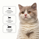 Консервированный корм Cherie Hairball Control Tuna & Snapper влажный корм для кошек с кусочками тунца и луциана в соусе с эффектом выведения шерсти у кошек 80 г (CHT17003) - изображение 6
