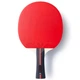 Ракетка для настольного тенниса Butterfly Ovtcharov Striker FL (6116600002) - изображение 3