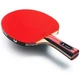 Ракетка для настольного тенниса Team Butterfly Champion FL (6256800002) - изображение 2