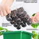 Набор лотков для проращивания семян (5 шт.) з подсвенткой, мини теплица - изображение 7