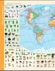 Атлас. Географія 6 клас - зображення 3