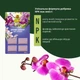 Удобрение-палочки Compo для орхидей 20 шт (1978/4008398619787) - изображение 3