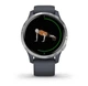 Смарт-годинник GARMIN Venu Silver Stainless Steel Bezel w. Granite Blue and Silicone B. (010-02173-01/03) - зображення 6