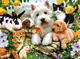 Puzzle Ravensburger Happy Animal Buddies 300 elementów 13160 (4005556131600) - obraz 2