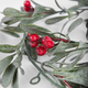 Łańcuch Homla Berries z żurawiną 180 cm (5906496714443) - obraz 2