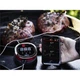 Bluetooth термометр WEBER iGrill 2 для гриля (7221) - изображение 4