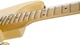 Електрогітара Fender Yngwie Malmsteen Stratocaster MN (A010412) Vintage White - зображення 7