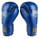 Боксерские перчатки Everlast DX-380 10oz синий - изображение 3