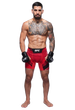 Ростовая фигура Илия Топурия UFC 180 см, картон - изображение 1