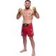 Ростовая фигура Мераб Двалишвили UFC 180 см, картон - изображение 1
