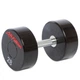 Гантель цельная профессиональная LIFE FITNESS Gemini Sport GA-80081-28, 1 шт 28 кг - изображение 1