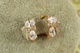 Серьги детские Xuping Jewelry котики с шарфом 1,3 см золотистые - изображение 2