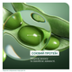 Шампунь Biolage Professional Volume Boost для придания объема тонким волосам 400 мл (3474637268114) - изображение 6