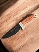 Ніж туристичний (№2267) KN83 Gorillas BBQ - зображення 7