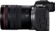 Беззеркальный фотоаппарат Canon EOS R5 Mark ll + 24-105 mm f/4L IS USM (6536C029) - изображение 3