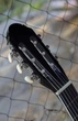 Гитара классическая 4/4 Almira CG-1702 BK - изображение 9