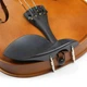 Скрипка 4\4 Deviser V-35-MB (кофр, смычек, канифоль) - изображение 5