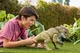 Динозавр Дистортус Рекс Монстро-рев Мир Юрского периода Jurassic World Rebirth Distortus Rex Dinosaur Mattel - изображение 4