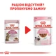 Вологий корм для стерилізованих кошенят ROYAL CANIN Роял канін KITTEN STERILISED IN GRAVY 0.085 кг 12шт. - изображение 2