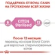 Вологий корм для стерилізованих кошенят ROYAL CANIN Роял канін KITTEN STERILISED IN GRAVY 0.085 кг 12шт. - изображение 7