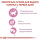 Вологий корм для стерилізованих кошенят ROYAL CANIN Роял канін KITTEN STERILISED IN GRAVY 0.085 кг 12шт. - изображение 8